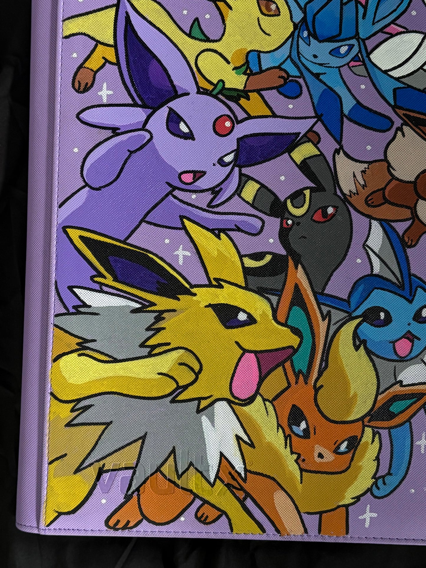 Custom 12 pocket binder