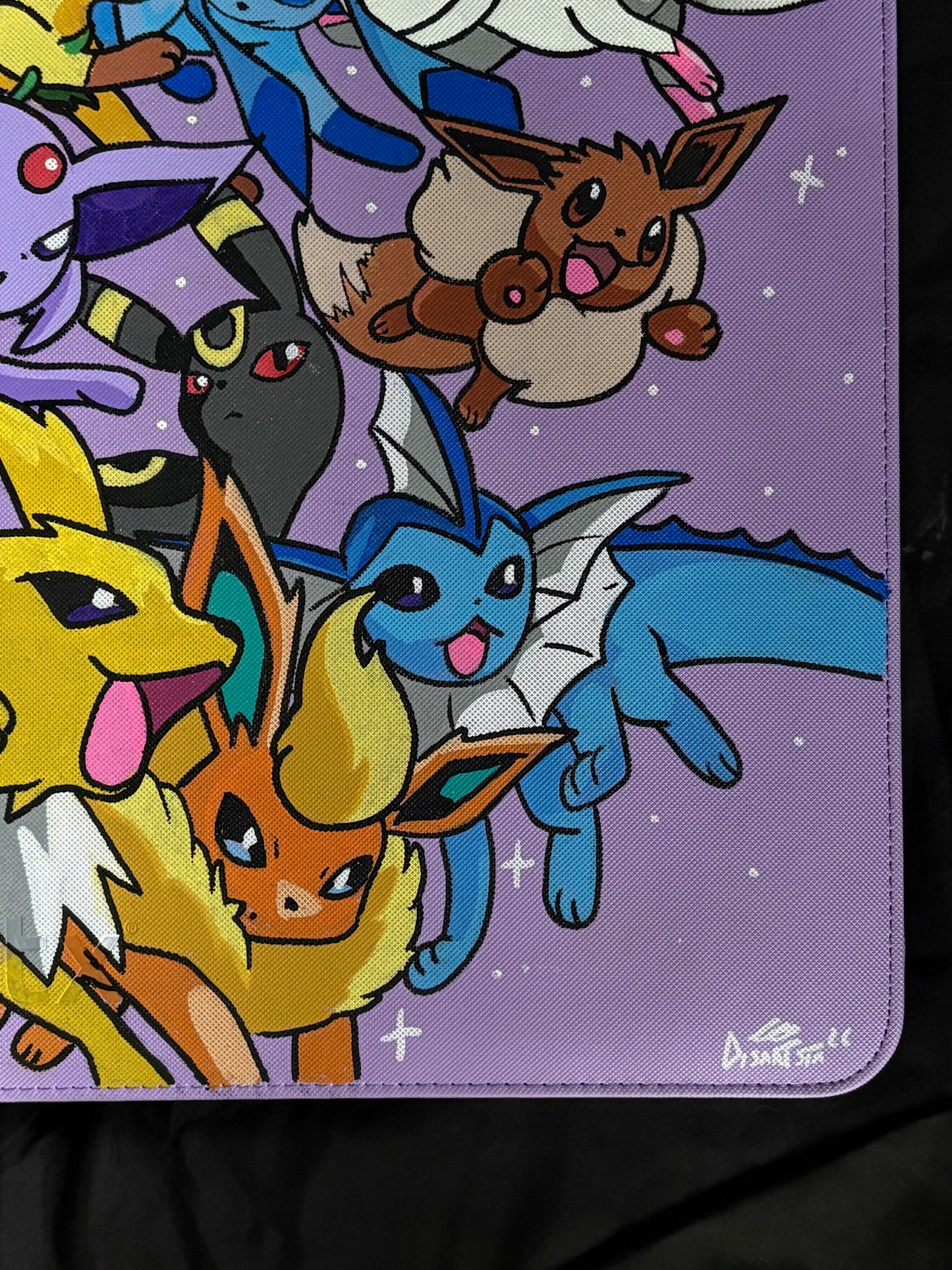 Custom 12 pocket binder
