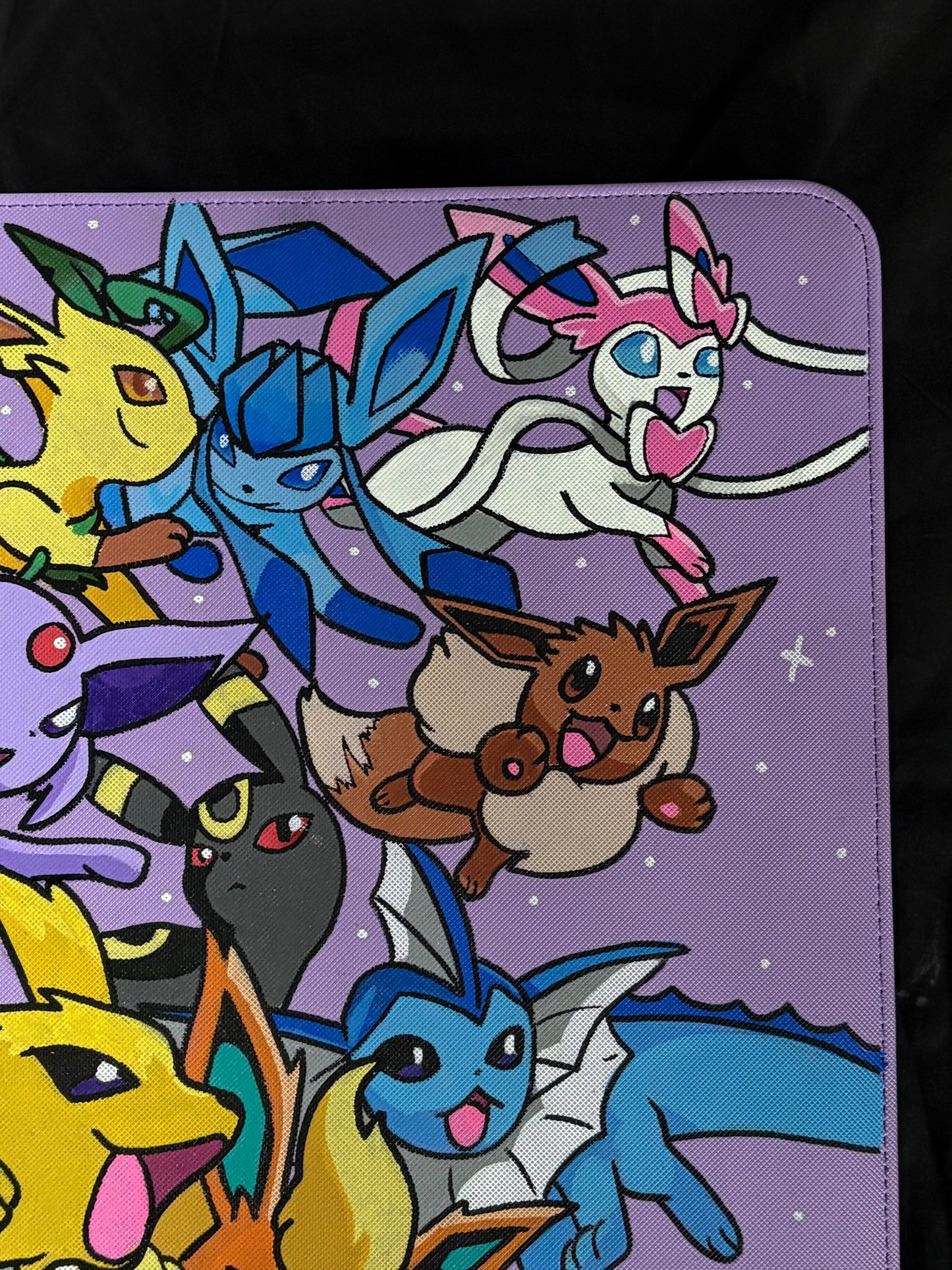 Custom 12 pocket binder