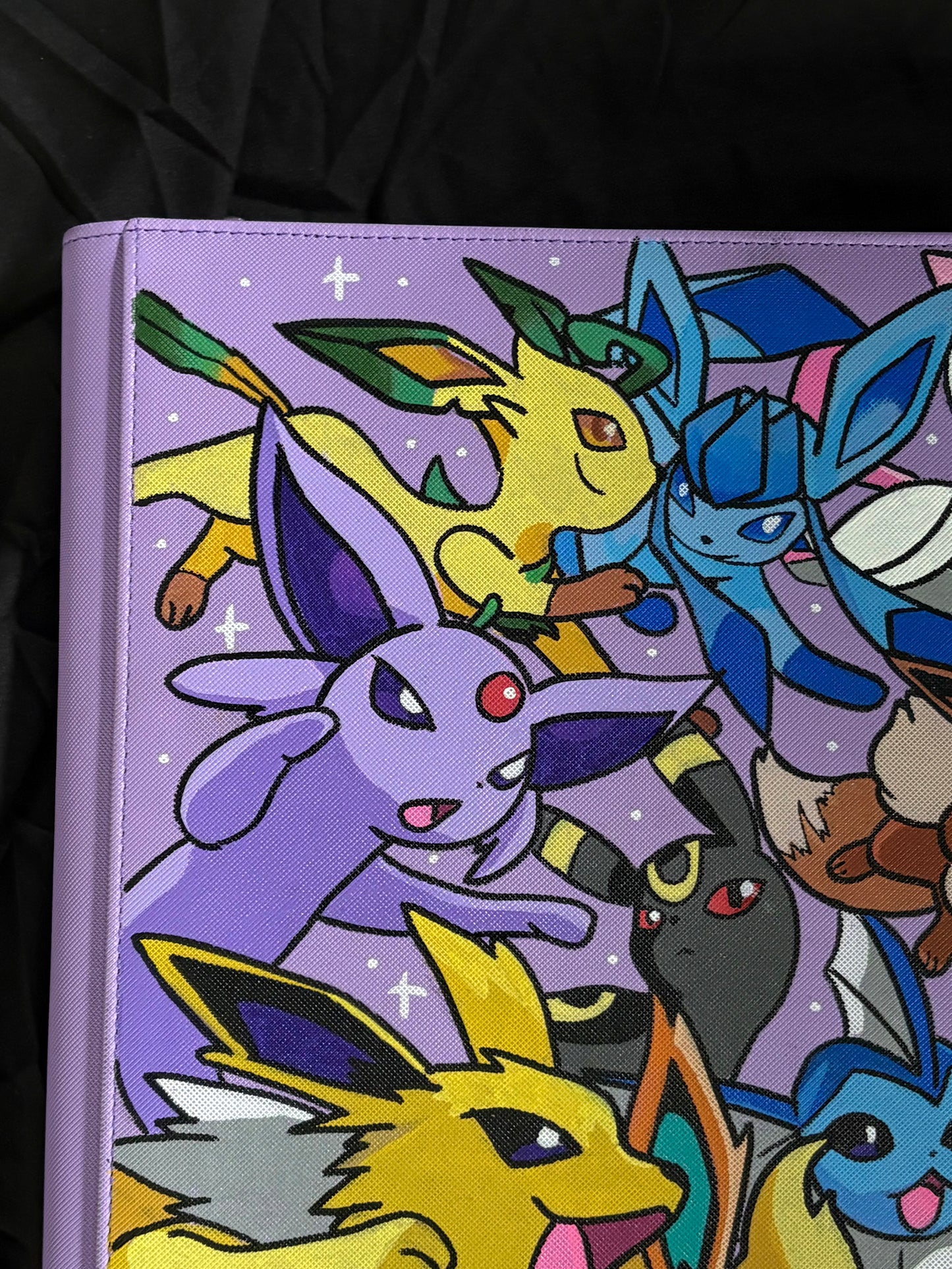 Custom 12 pocket binder